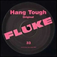 Fluke - Hang Tough