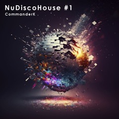 Nu-Disco-House #1