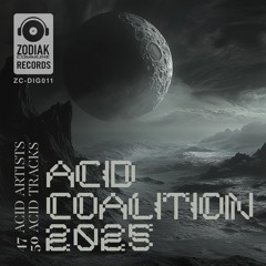 ZC-DIG011 - Carara - Overdrive - Acid Coalition 2025