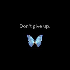 BUTTERFLIES - (DEMO)