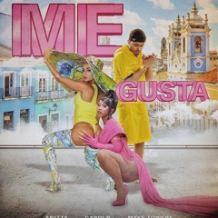 Anitta -  Me Gusta  INTRO MIX