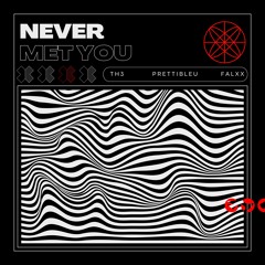 Never Met You (ft. Prettibleu)(Prod. Falxx)