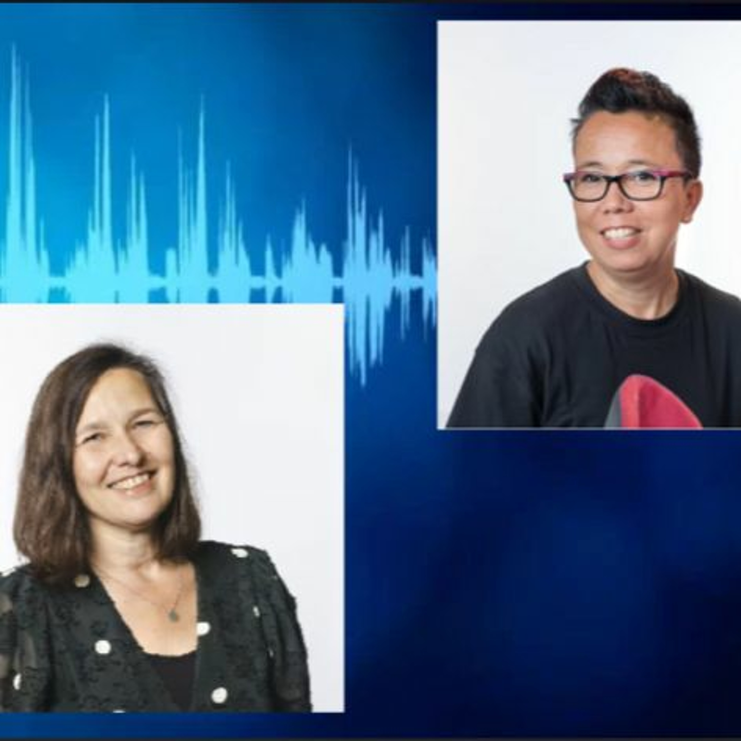 Vilans Podcasts