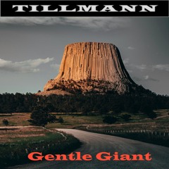 Tillmann - 2025 - Phase X - 03 - Gentle Giant