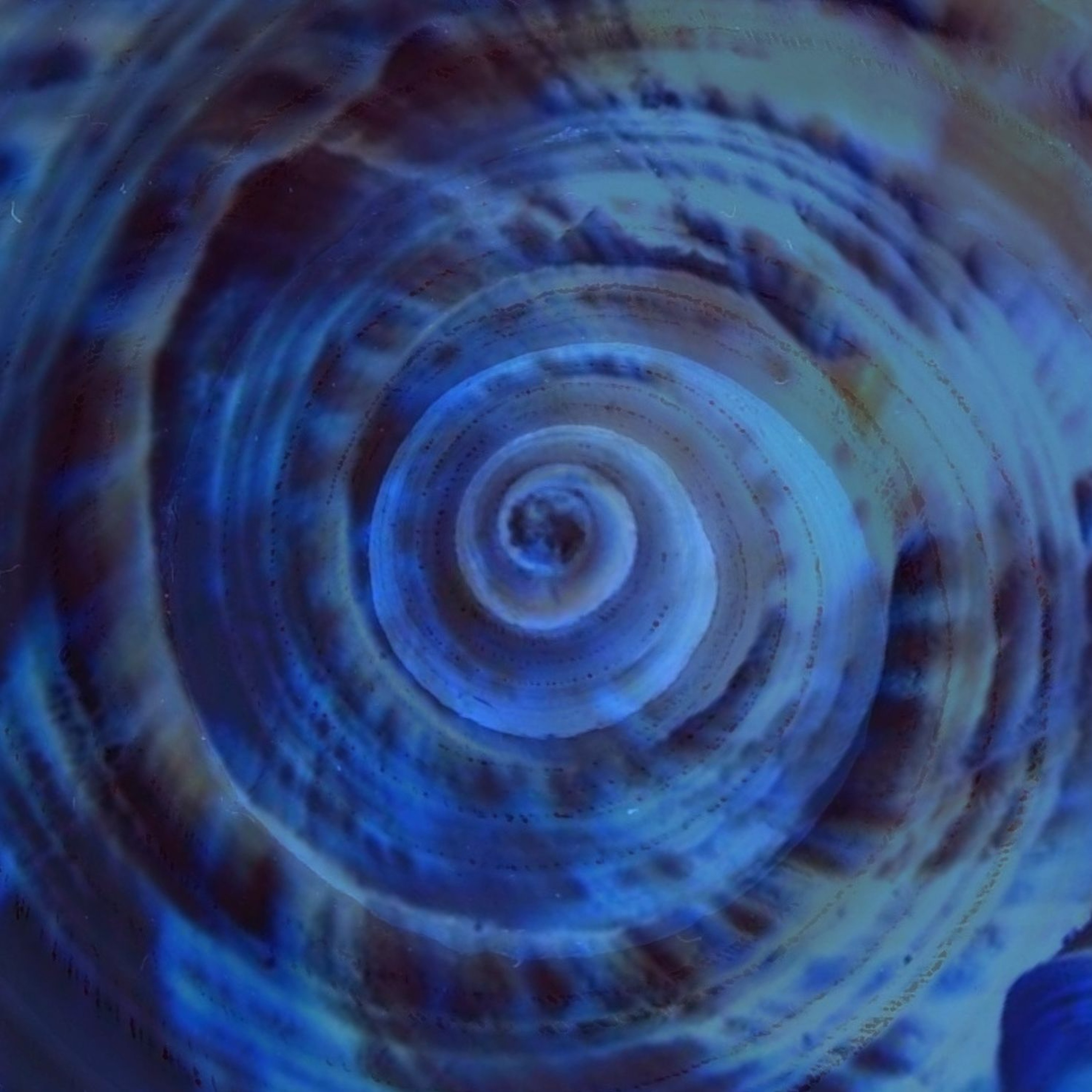 Atlanticus episode artwork