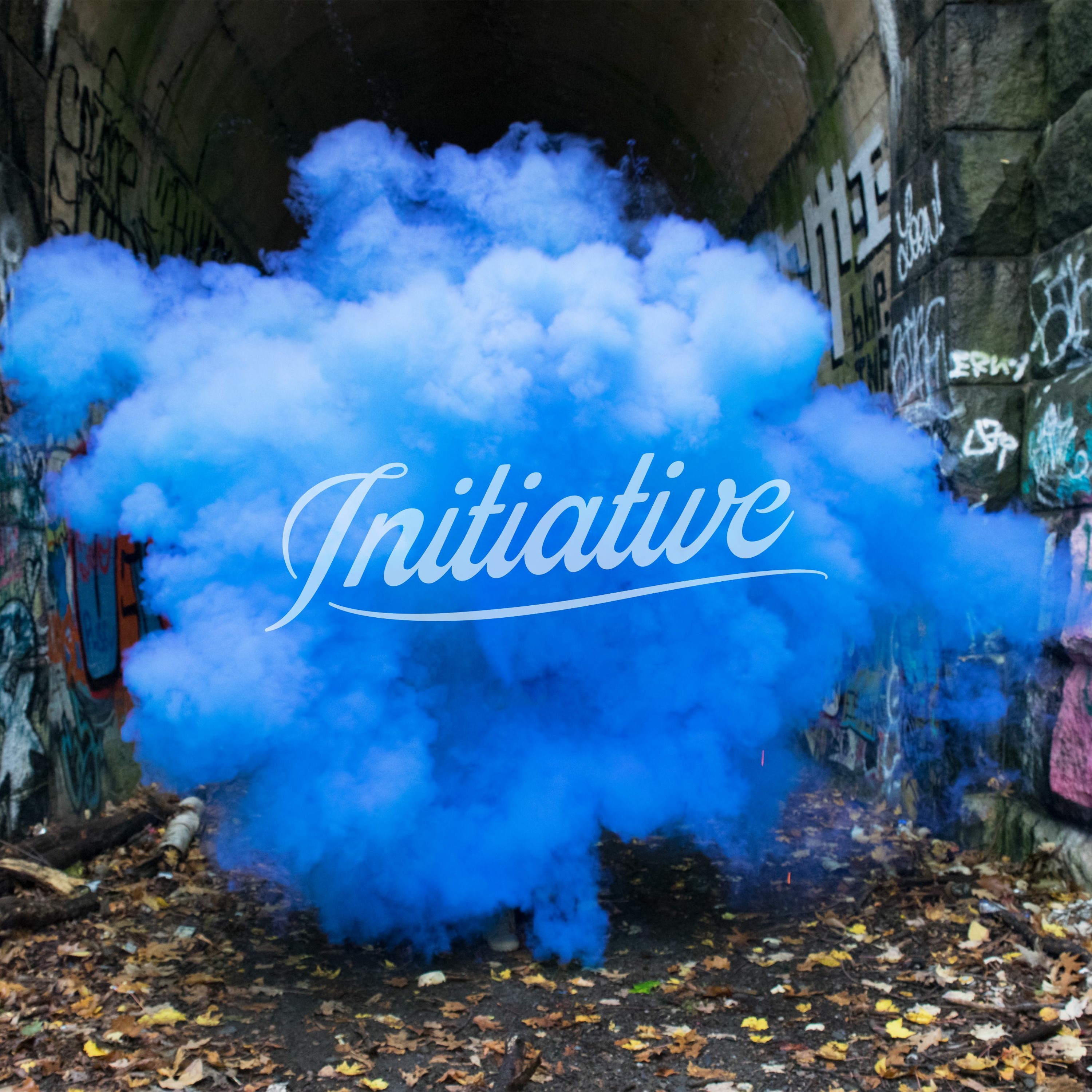 Initiative Eesti
