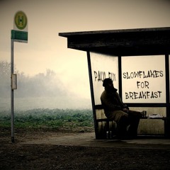 Paul Fux | Slowflakes for Breakfast