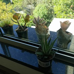 So quero que vc seja feliz funk lite.wav