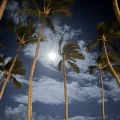 🌀💙🌀💙🌀💙