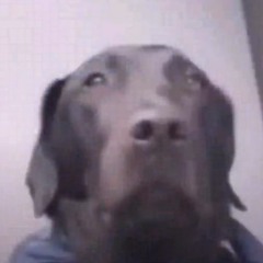 You Wanted More - VIRA - Nightcore