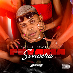 MC WL E MC MARSHA - TE PEGO NA SALA DENTRO DO BANHEIRO [DJ RG DO CTL]