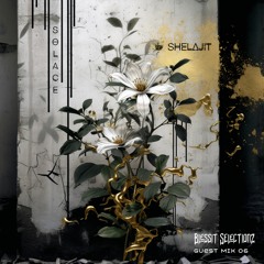 shelajit ~ "Solace"  :Blessit Selectionz Guest Mix 06: