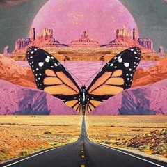 #15 ⪮ Luminous Road // Ecstatic Dance