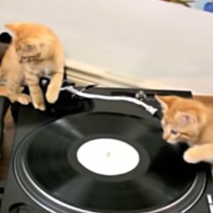 DJ Lucy Catz