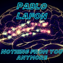 Nothing From You Anymore