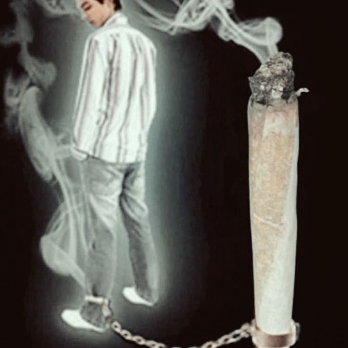 тюльпаны на гробу (прод. oxotbeats)