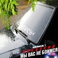 Киевский - Мы вас не боимся (remix)