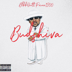 BlkkOutt Prince1300- BUDSHIVA