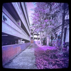 former hero - swims best (SUPERLIMINAL FLIP)