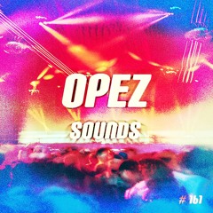 Opez Presents Opez Sounds #161 (EDM Vol 11)