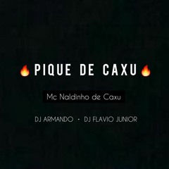 MC NALDINHO DE CAXU - ELA ME VIU NA FAVELA [ DJ ARMANDO E DJ FLAVIO JUNIOR ] PIQUE DE CAXU
