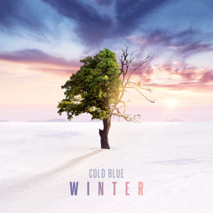 Winter Gates