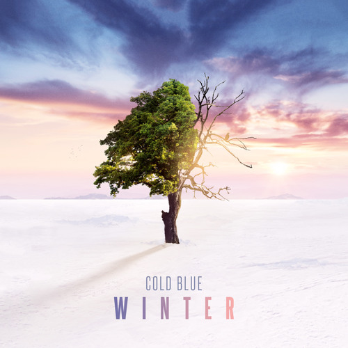Winter Gates