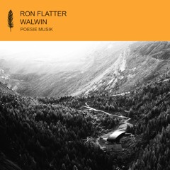 Ron Flatter - Walwin (snippet)
