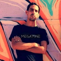 Megatone Passover Set