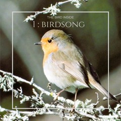 MEDITATION 1 : BIRDSONG