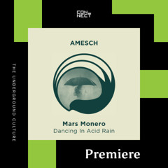 PREMIERE: Mars Monero - Dancing In Acid Rain feat. Megan Cartwright [Amesch]