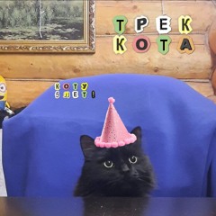 трек кота_mixed (2).mp3