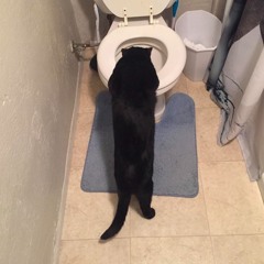 Kutta ft.twrmsmonroe