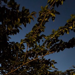 I WOKE UP EARLY (FREE DL)