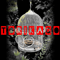 DJ Mix by Torikago Vol.03