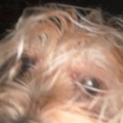 DAWG (prod me)