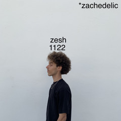 1122 +zachedelic