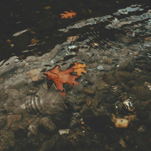 Dilemma [Slowed + Reverb]- Douyin