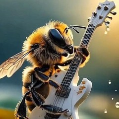 volume 1 finished songs (kind of)