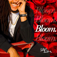 Mikey Bloom -  Bloom