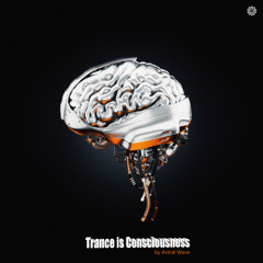 Trance is Consciousness