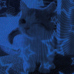 Cat Kitty Cat / FVN! #JerseyClub (+chasenopup +prodtjthesaint)