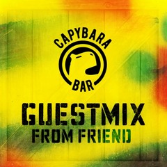Capybara Stories - 048 - Jerry Hurper (UA) - Capy Guest Mix