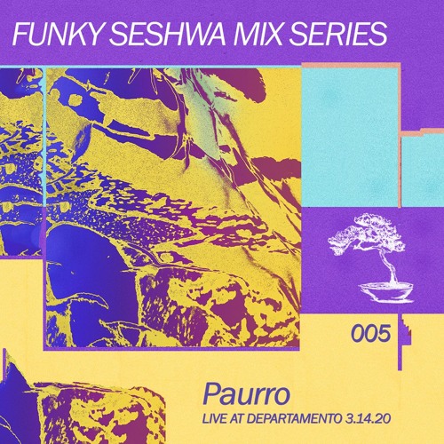 Funky Seshwa Mix Series 005: Paurro Live At Departmento Seshwa 3.14.20