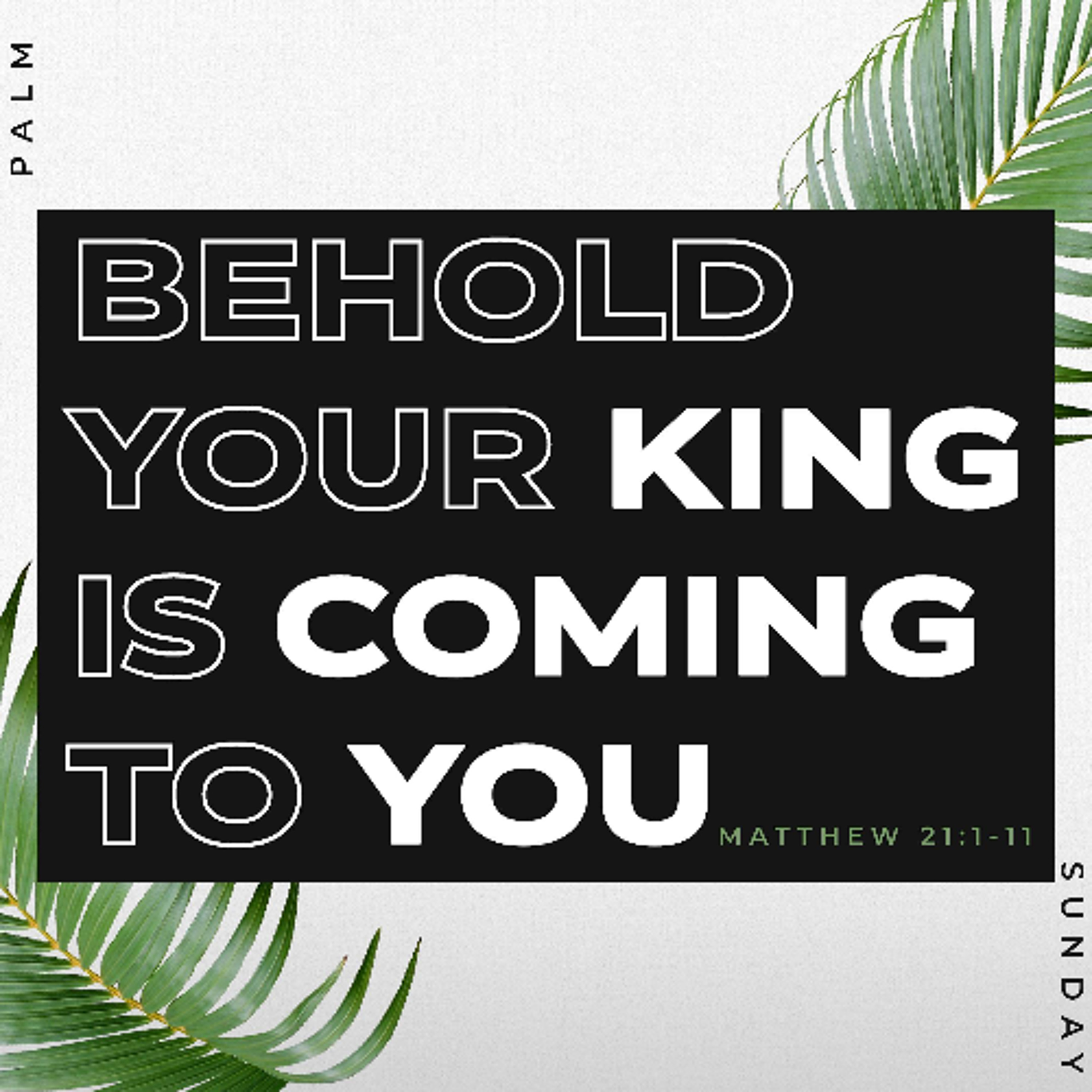 Behold Your King is Coming to You episode artwork