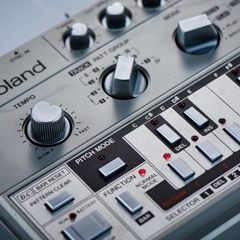 DJ Big Lyd 303 Mix .WAV