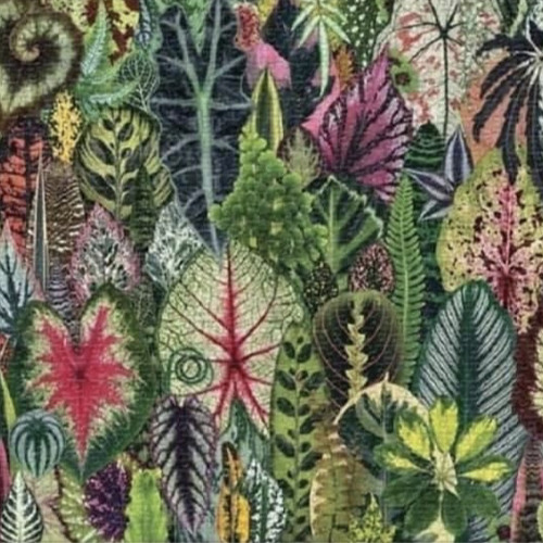 El Poder del Enraizado