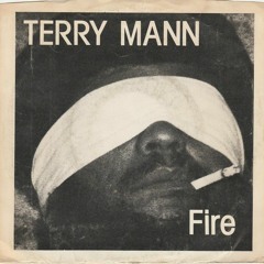 Terry Mann - Fire