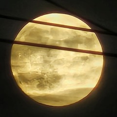 proof of life (english WIP)