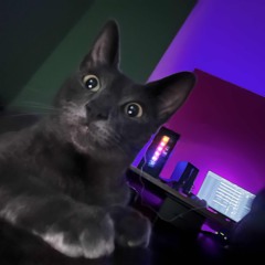 MADE - CHiKi